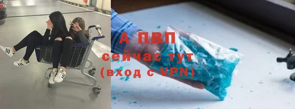 дживик Аркадак