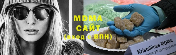 гашик Алексин