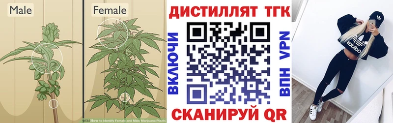 Дистиллят ТГК THC oil  Купить где  Минеральные Воды 