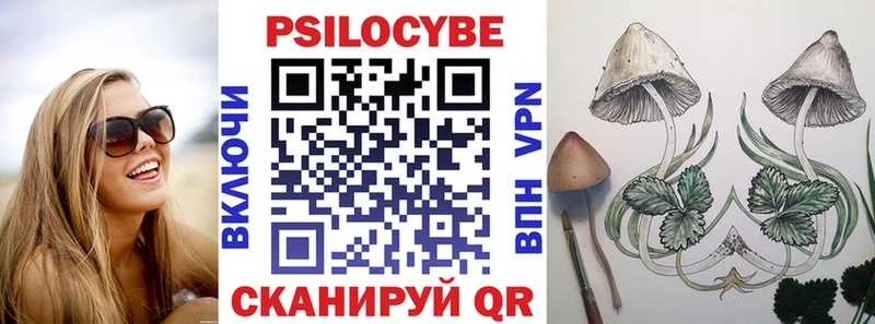 Псилоцибиновые грибы Psilocybe  Купить закладки  Минеральные Воды 