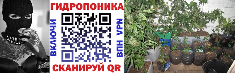 МАРИХУАНА Amnesia  Купить  Минеральные Воды 